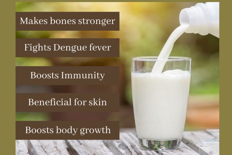 milk