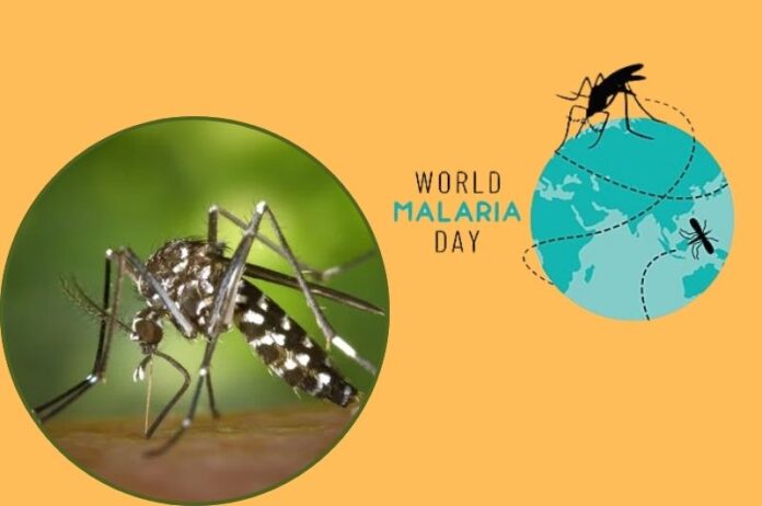 World Malaria Day 2024