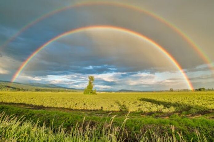 World earth day 2024