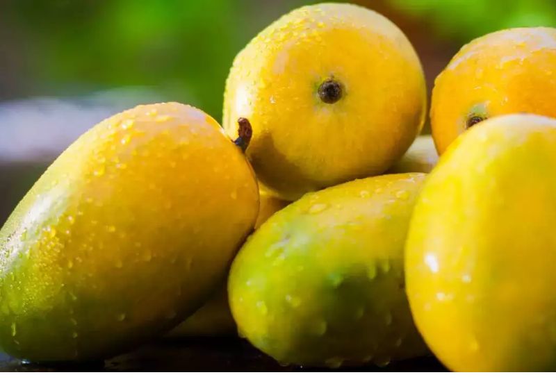 MANGO