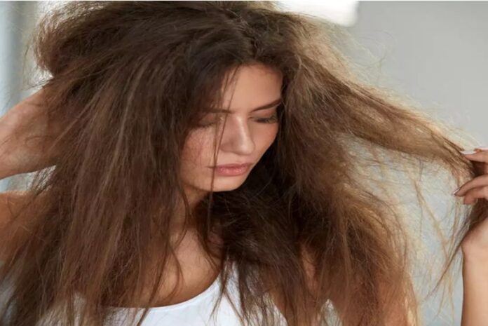 dry and frizzy hair