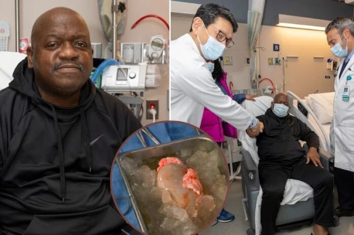 Pig kidney transplant