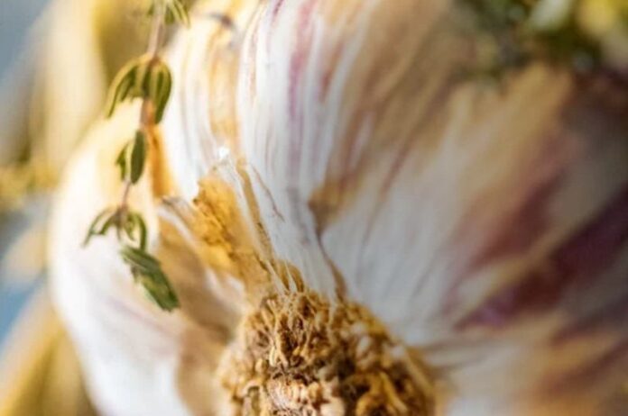 Garlic benefits