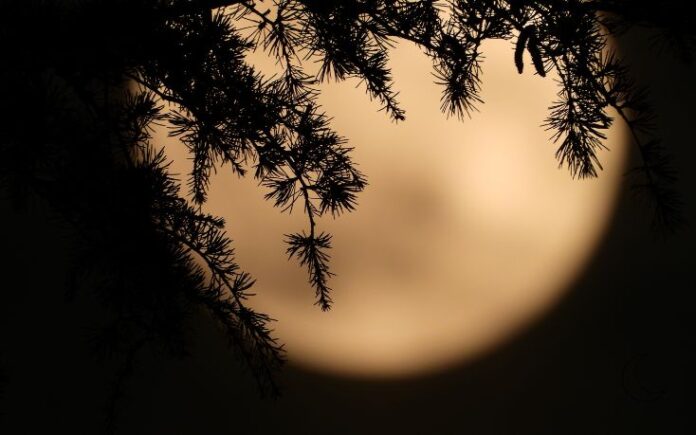 Cave on Moon